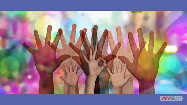 12-volunteers